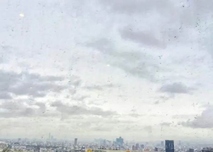 Stylish Loft For 4 Reforma Cdmx Ideal Long *